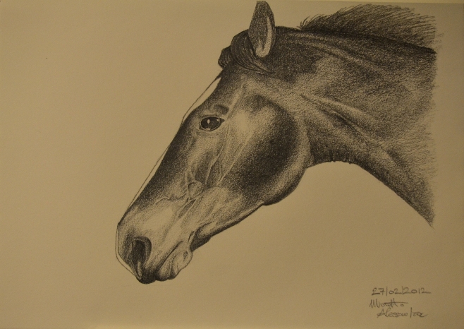 torno al realismo ma sempre con un cavallo